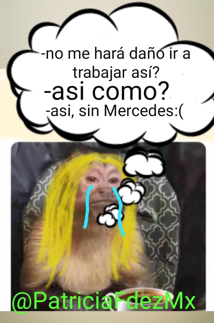 PatriciaFdezMx's tweet photo. Yo está mañana al llegar a trabajar a EcoModa 😭😭😭😭 mi Mercedes!!! 
#MePongoCeloso #BettyLaFea https://t.co/njV1dEFLrM