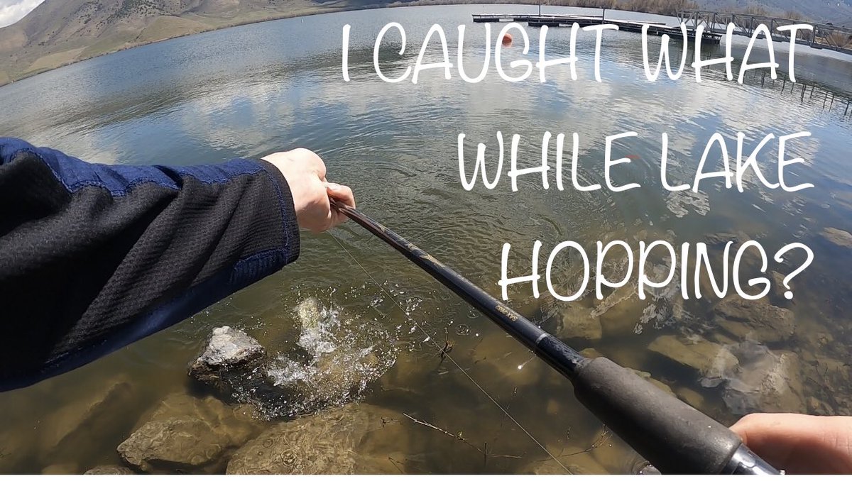 AndrewOutdoors1's tweet photo. I Caught What While Lake Hopping?
https://t.co/7ivN3ETuhs
#Fishing #FishUtah #OutdoorsWithAndrew #GoOutside https://t.co/7ha4HHyGXA