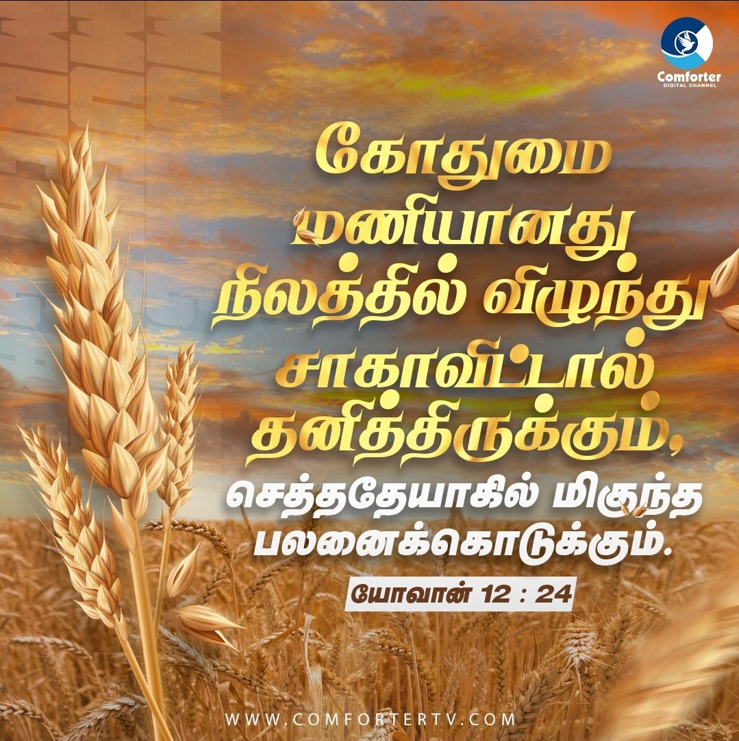 KittyTwitz's tweet photo. Praise Jesus ✝️ Blessed #Tuesday
🛐🙏🏻💐
#WorldRevival
#RevivalofIsrael @Israel @IsraeliPM
#RevivalofIndia @narendramodi @AmitShahOffice
#RevivalofChennai @arivalayam
#RevivalofEngland @BorisJohnson
#RevivalofItaly @Italy
#RevivalofSriLanka @SrilankaPMO https://t.co/vEDDpEpkDs