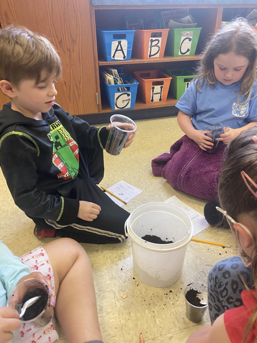 Mrs. Healy tweet media