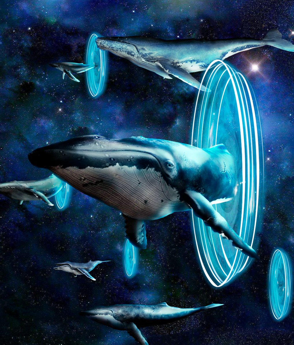 tcuriososyt's tweet photo. |Soul of the Space Whales|
A whole new significance in the world of NFTs.
✍️ Unique Edition
💵 0.07 $ETH on #OpenSeaNFT 

Every RT will be greatly appreciated 🙏

LINK:
https://t.co/DWtHFMNci1

#nftcollector #NFTArts https://t.co/aWVqbdaK5X
