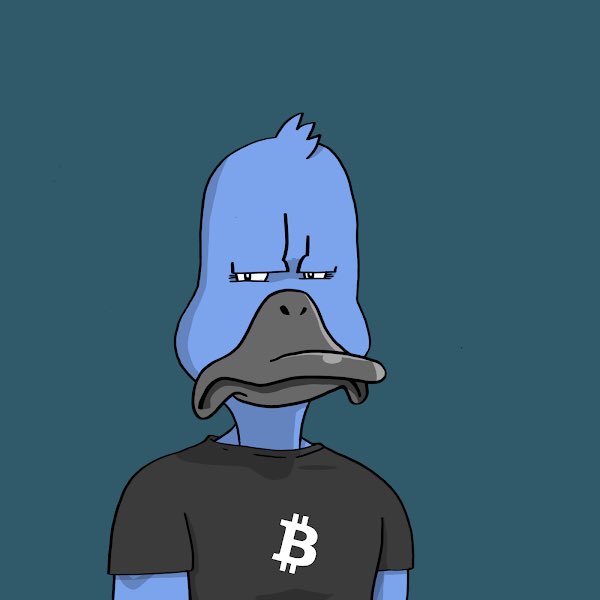 cryptosam33's tweet photo. See duck buy duck! 🦆🦆 #LDG #DucksFlyTogether #DucksUnited @noncoducks https://t.co/tvirywIM2a