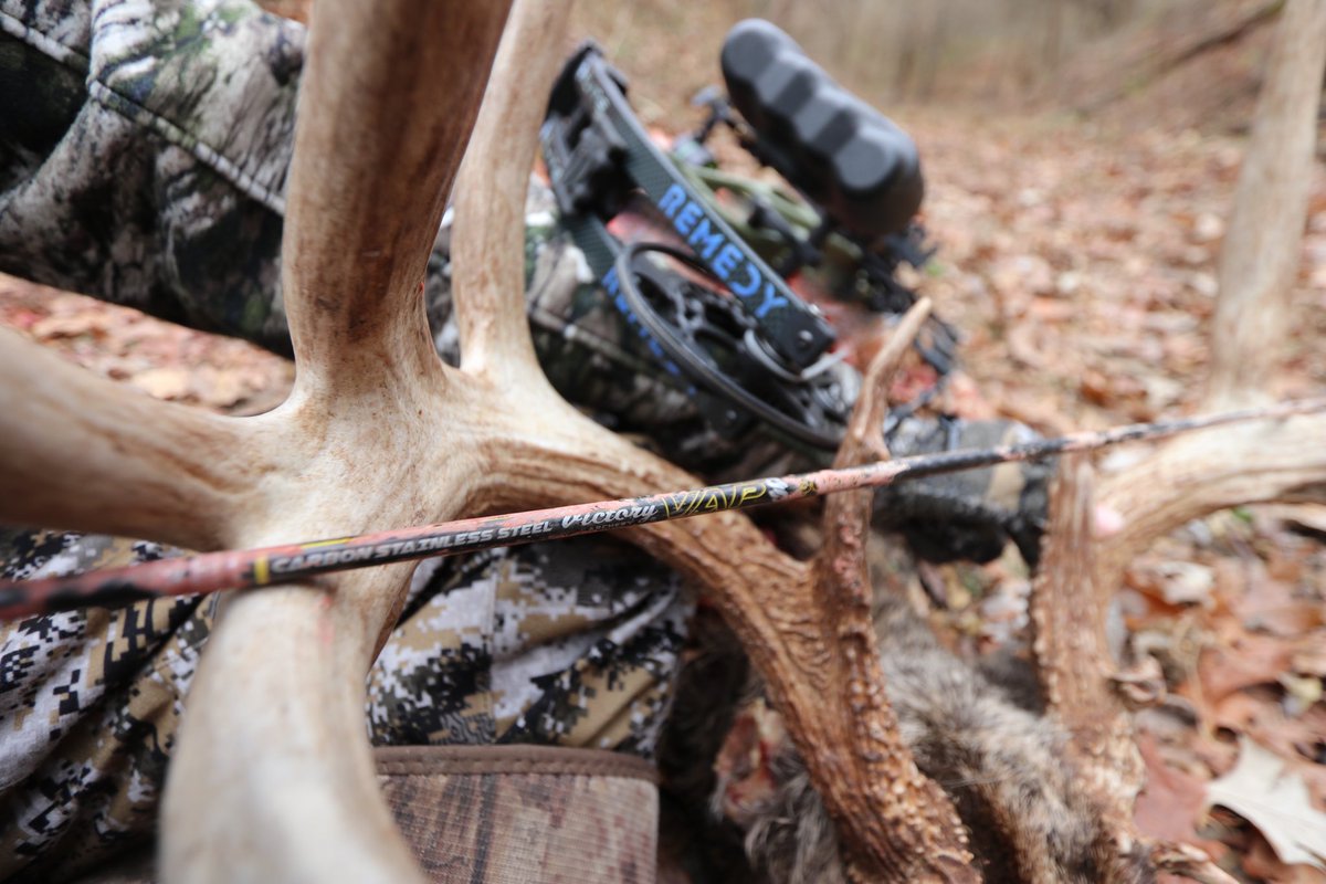 WCBOWHUNTER's tweet image. Ready for fall strategies and bloody arrows. #workingclassbowhunter #fall