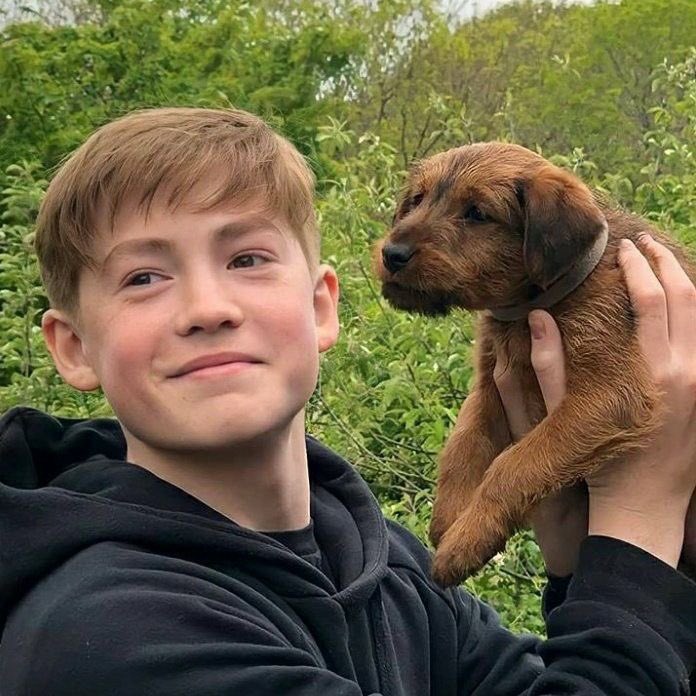 daily kit connor tweet media