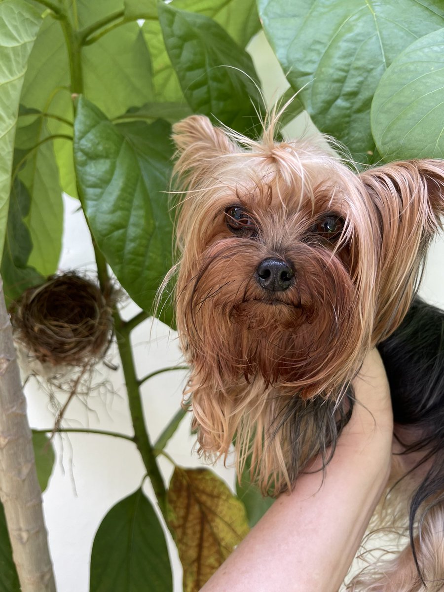 mathaster's tweet image. เพื่อนใหม่มาทำรัง