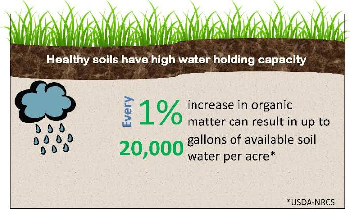 Ishanam2's tweet photo. SOILS our WATER BANK --- World's  most precious CURRENCY....How much water it can store means --- 800% of all the water that flows in all the rivers can be stored in the soil .The greatest Dam we have👍🤗🌱🌍🌼💫 #savesoil @cpsavesoil @SadhguruJV  @UNCCD https://t.co/aLKWJZHUPs
