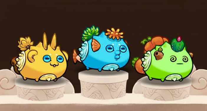 ❤️🚨 Axie Team Giveaway 🚨❤️

Retweet and Follow Spike on YouTube 👇

youtube.com/watch?v=kp25Hs…

Winner announcement in 48 hours ✅