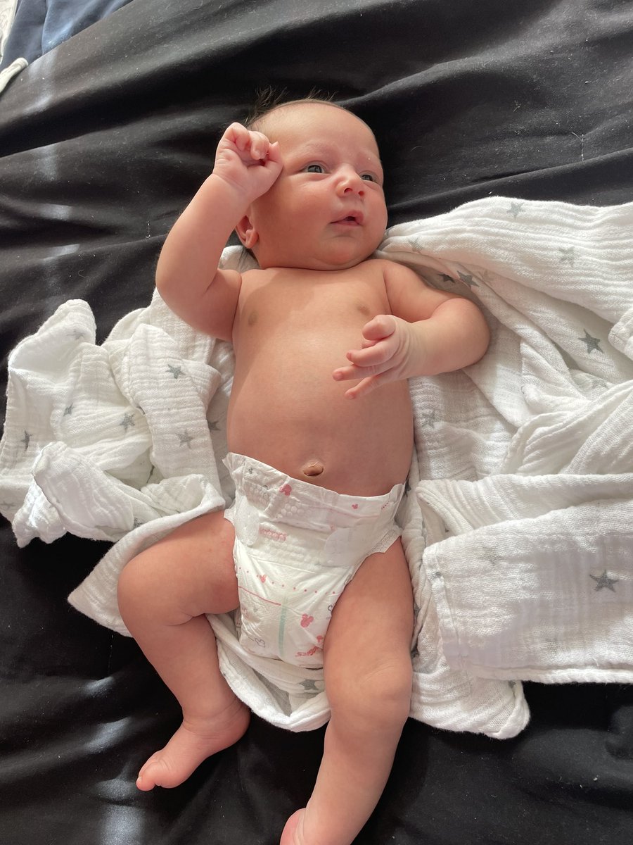 Lana solo tweet media