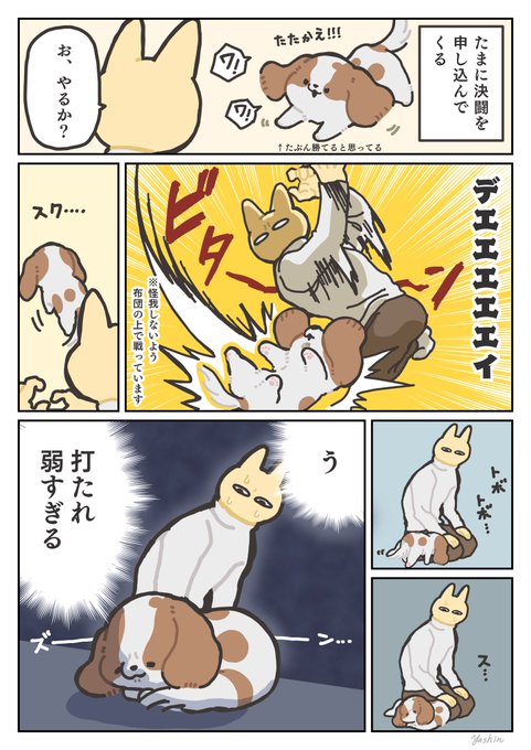 犬日記 決闘 