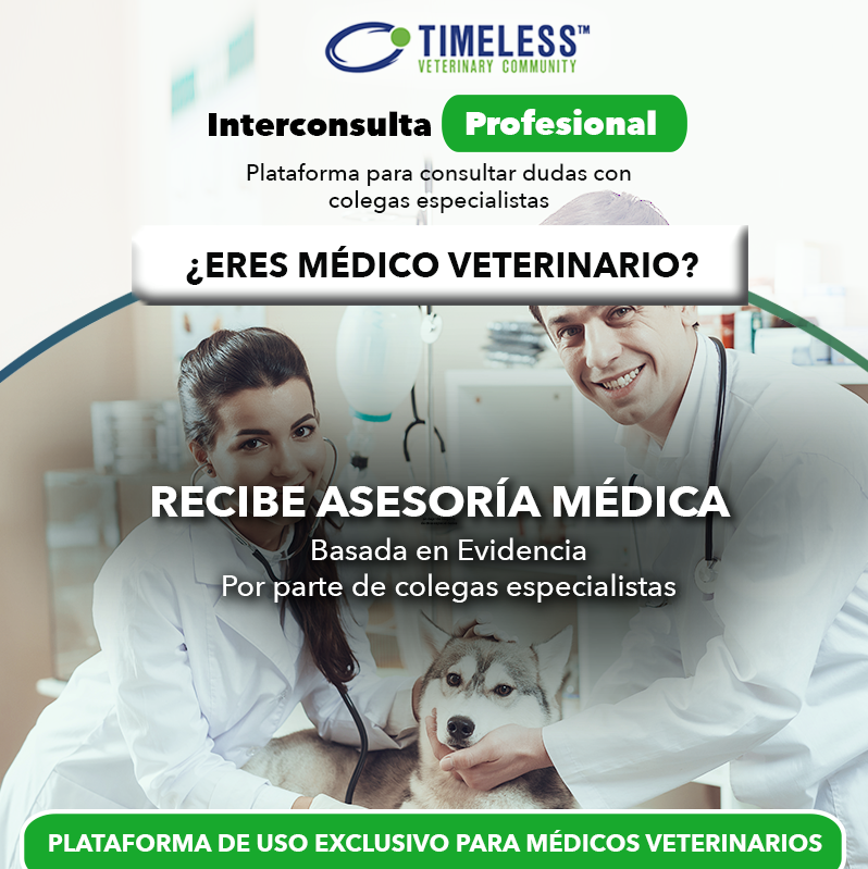 TimelessVetES's tweet photo. #MédicoVeterinario ¿Ya utilizas la mejor herramienta para consultar tus dudas en casos clínicos con otros colegas?

Regístrate en: https://t.co/JsUndpSkXU https://t.co/om4z6vJkIg