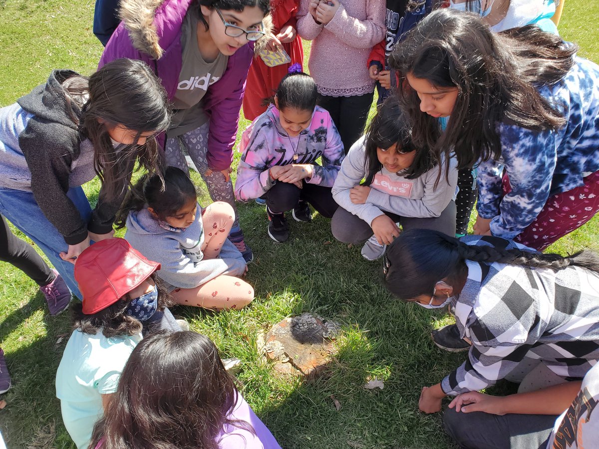 levi_creek's tweet photo. @levi_creek connect with the land, new discoveries in sit spots, new Q for inquiry..Why are the roots growing on top? Why are mushrooms soft and hard like shells, beside each other? #GlobalActionDays, #MyActionsMatter, #GAIA2030 @PDSB_eco https://t.co/p94FOEvTRF