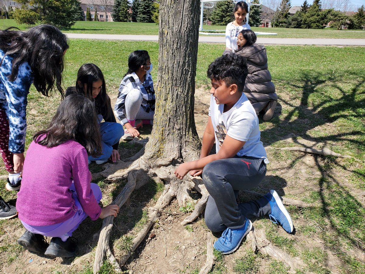 levi_creek's tweet photo. @levi_creek connect with the land, new discoveries in sit spots, new Q for inquiry..Why are the roots growing on top? Why are mushrooms soft and hard like shells, beside each other? #GlobalActionDays, #MyActionsMatter, #GAIA2030 @PDSB_eco https://t.co/p94FOEvTRF