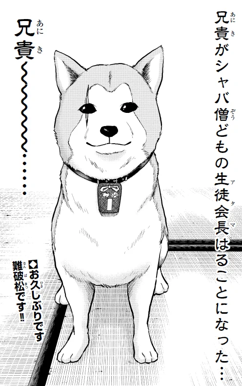 週刊少年チャンピオン編集部 on X: 
