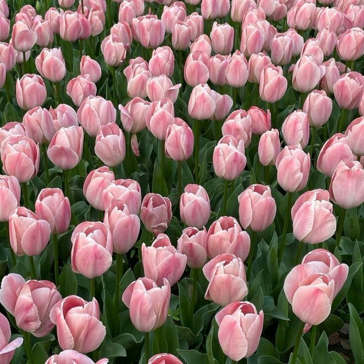 ♡ ·̩͙₊ (@madeofwarmth) on Twitter photo 