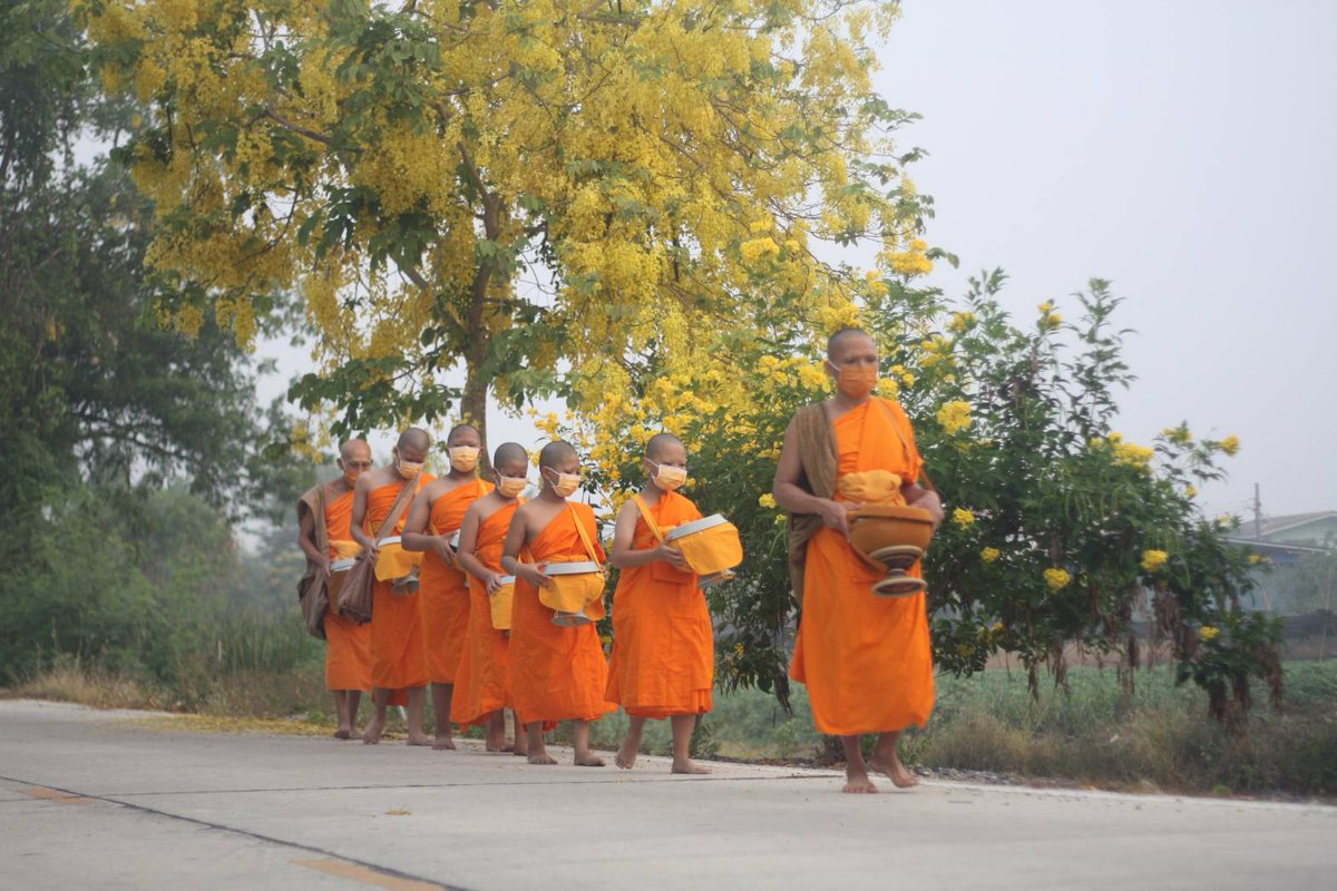 HappyCenter072's tweet photo. การบวชเป็นสามเณรทำให้เด็กมีโอกาสเรียนรู้ธรรมะ วิถีชีวิตของสมณะ และสิ่งที่มีประโยชน์หลายอย่าง ด้วยการลงมือปฏิบัติจริง ซึ่งลึกซึ้งกว่าการได้เห็นหรือได้ยินเขาเล่ามา อาทิ การบิณฑบาตโปรดญาติโยม ซึ่งเป็นกิจวัตรที่สร้างความประทับใจและพลังบวกแก่ทั้งสามเณรและผู้พบเห็นอย่างยิ่ง #บวชเณร https://t.co/Eu0WX8NAaM