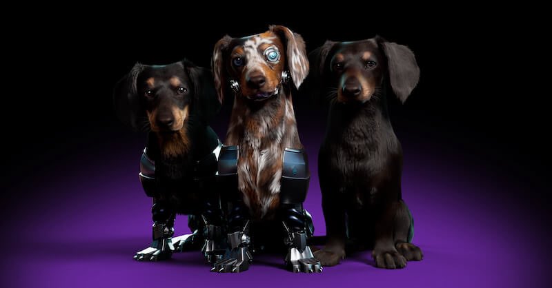 Cryptosep_'s tweet photo. 🎁GIVEAWAY!🎁

喜欢狗狗的不要错过
Prizes:
🏆 3x The digtail dogs WL

To Enter:
1⃣Follow @TheDigitalDogs &amp; @15842268wer 
2⃣RT, LIKE，tag 3 friends
3⃣ join dc：You have to get in early https://t.co/rPfAaasrhf

3 Winners! Ends in 48H⏰
#NFT #NFTcommunity #NFTdrop #NFTGiveaway https://t.co/QQeEwX4fne