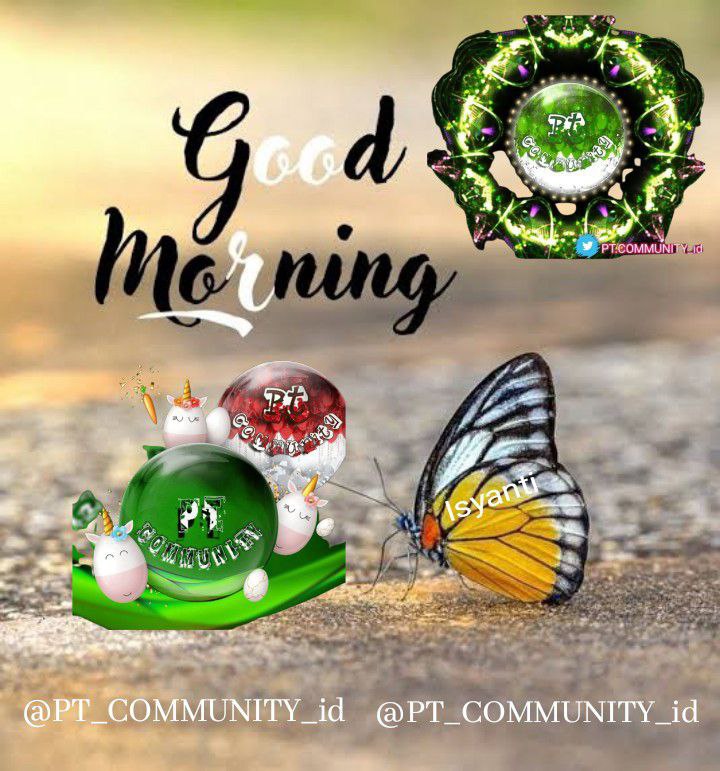AlindaHandayani's tweet photo. 🕌✨ Good morning...
To All Big Fam
PT COMMUNITY 💜

🌸 Latihlah pikiran Anda untuk melihat yang baik dalam segala hal 🤗🥰

#CokuCryptoCurrency
#PejuangTangguhCommunity
#MorningSunshine

@CokuNew
@PT_COMMUNITY_id https://t.co/d1YQsOa2HM