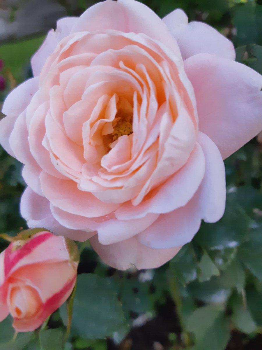 Bringing new beginnings into my life, like season of spring Bringing rebirth and new beginnings