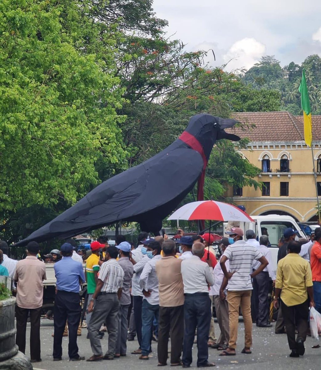 roelraymond's tweet photo. Pic from the #GotaGoHome protest in Kandy. 

Photographer unknown. 

#SriLanka #lka https://t.co/mvsNwskSyW