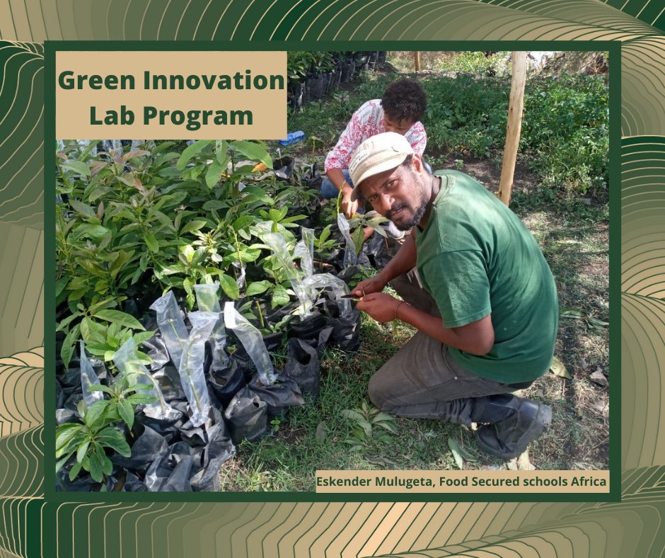 Calling All Green Entrepreneurs in Addis Ababa!
Apply to our 2022 green Innovation Lab Program!
 Visit: ethiopia.reachforchange.org/en/apply/green…
 #GreenInnovationLab# AddisAbaba