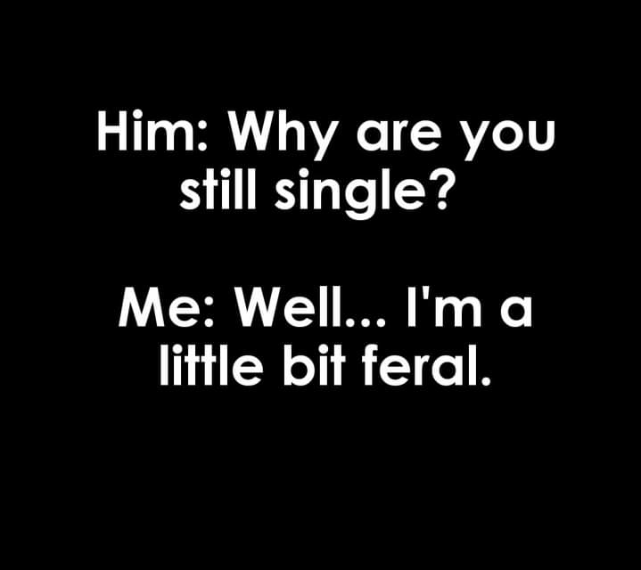pixi_chick83's tweet photo. #WhyIAmHowling
Just a bit feral π https://t.co/O6QILZ3SbS
