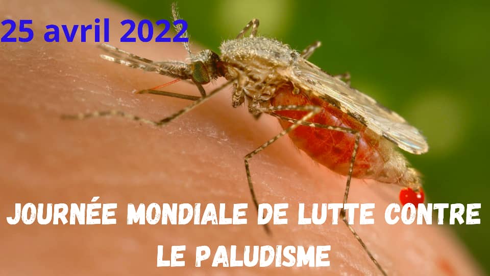 Par ces temps de pluie au #Bénin , n'oublions pas les règles de prévention du #paludisme. #Dormons_toujours_sous_une_moustiquaire_imprégnée_d_insecticides.
<a href="/gouvbenin/">Gouvernement du Bénin 🇧🇯</a>
