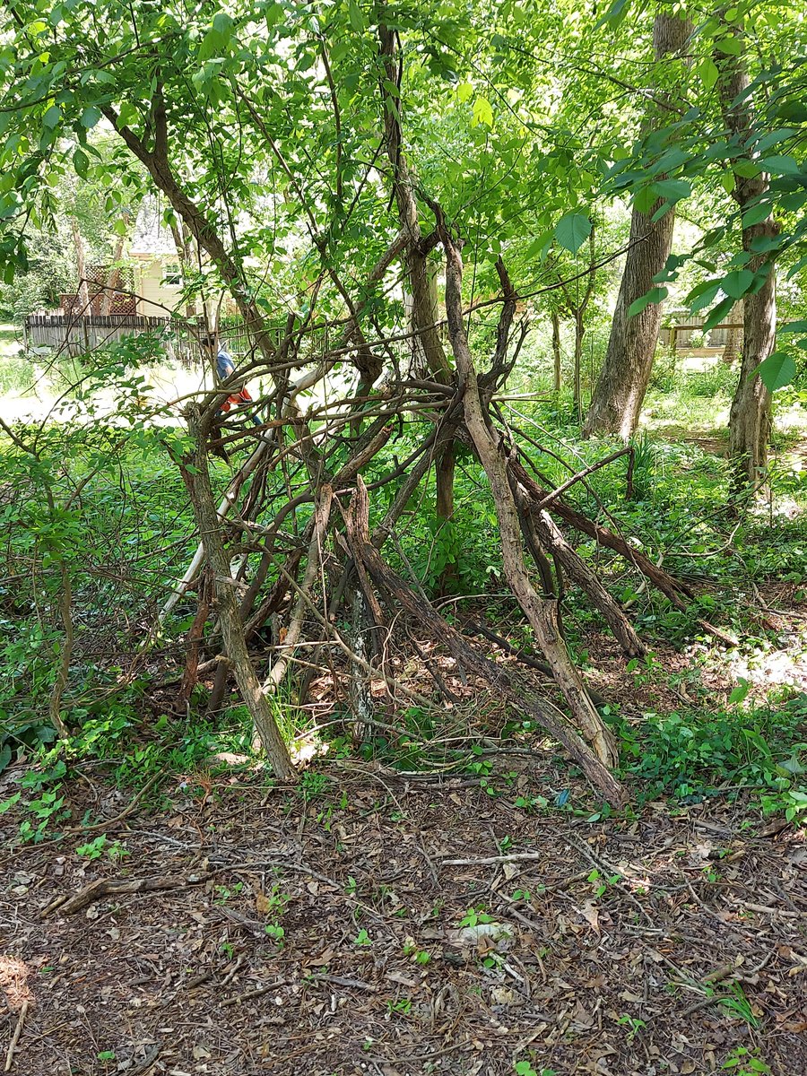 DecaturGreenway's tweet photo. For Earth Day, Friends School students removed ivy, created branch structures, and removed plastic trash from the creek. Earth Day represents our commitment to nature &amp; dedication to environmental education, but every day we try to make the Earth a cleaner and greener place! 🌎🌱 https://t.co/rfvvplZI5I