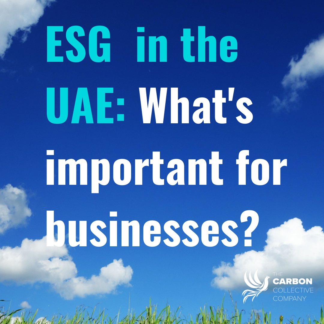 TheCarbonCC's tweet photo. The importance of ESG in Business has been rising globally and the UAE has been at the forefront of building a sustainable nation. Here's what the leading organisations in UAE had to say about the importance of ESG.
 #climatechange #ESG #environment #Sustainability  #TCC #climate https://t.co/uEMNubcyRd