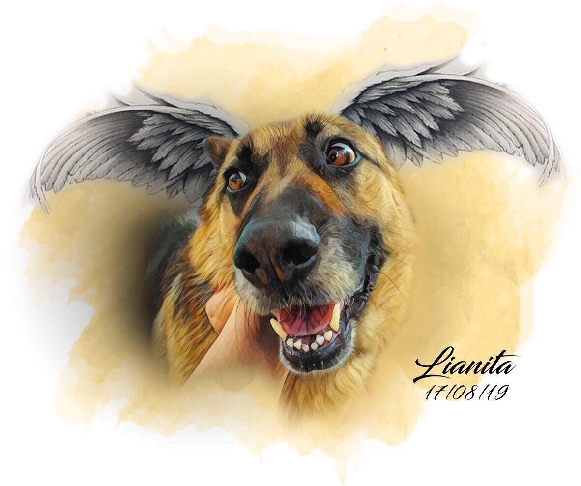 <a href="/Play_Ukiyo/">Ukiyo</a> My best friend forever 🥹 🐕 cause will be always living in my ♥️ ! 

Tks for the activity and opportunity, we need more projects like <a href="/Play_Ukiyo/">Ukiyo</a> that connects ppl genuinely 👋