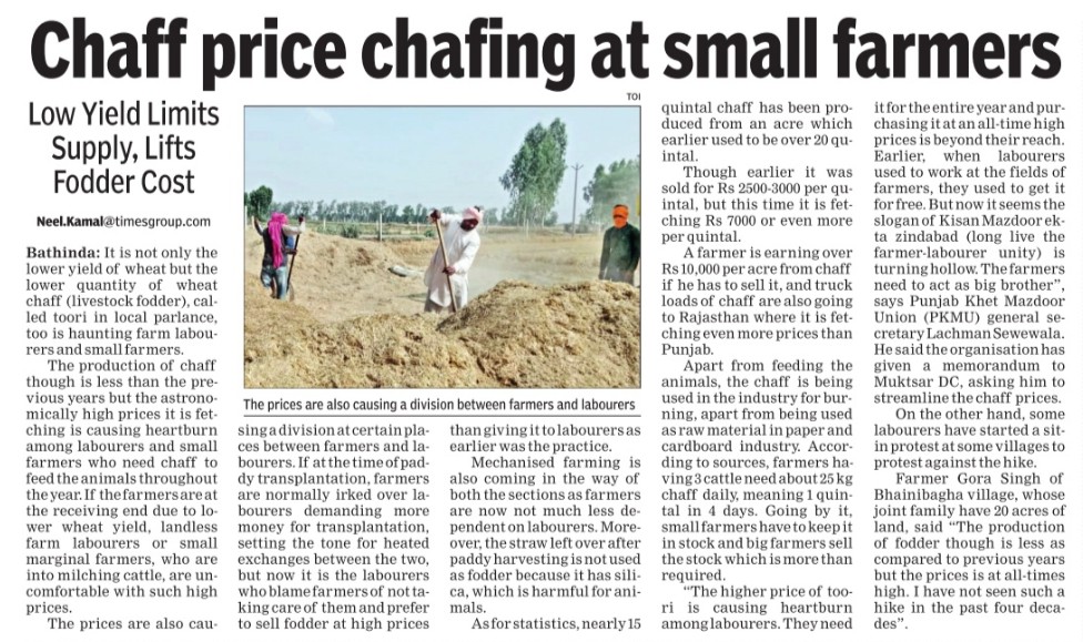 NeelkamalPb's tweet photo. Rising #Toori rates turning into big issue in Punjab, many claims-counter claims being made, it may cause dissension between two farmers-labourers who have milching cattle, yesterday' news https://t.co/Q7s9mNczE6