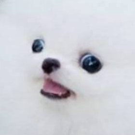 TOYGAM3R tweet media
