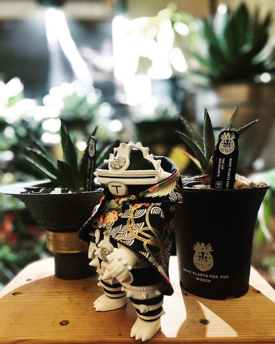 Smile1688H's tweet photo. @Smile1688H @toky_jp @SofubiVision @blame_two
#makeplants4fun #makeplantsforfun #agave #agavetitanota #妖炎 #toky #toky_jp #遮光器土偶 #終極作戰兵器 #sofubi #sofubitoy #sofubitoys #龍舌蘭 #嚴龍 https://t.co/O0PUX0mdve