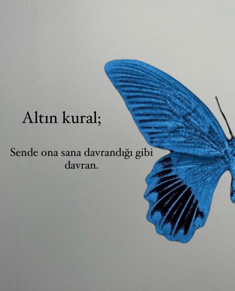 RONİ tweet media
