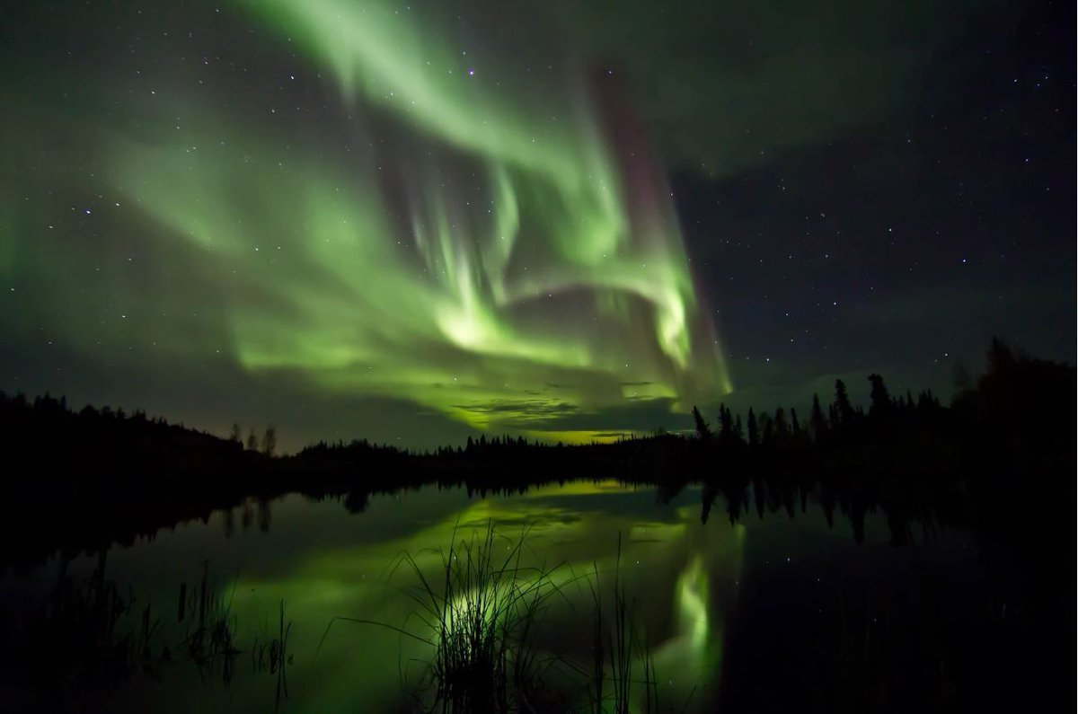 maximaxoo's tweet photo. #Space: #aurora display over #PowderPoint, near #Yellowknife, #Canada. #GoodMorning!
https://t.co/fTDAO476RB via @500px https://t.co/VDBYBHLgjI
