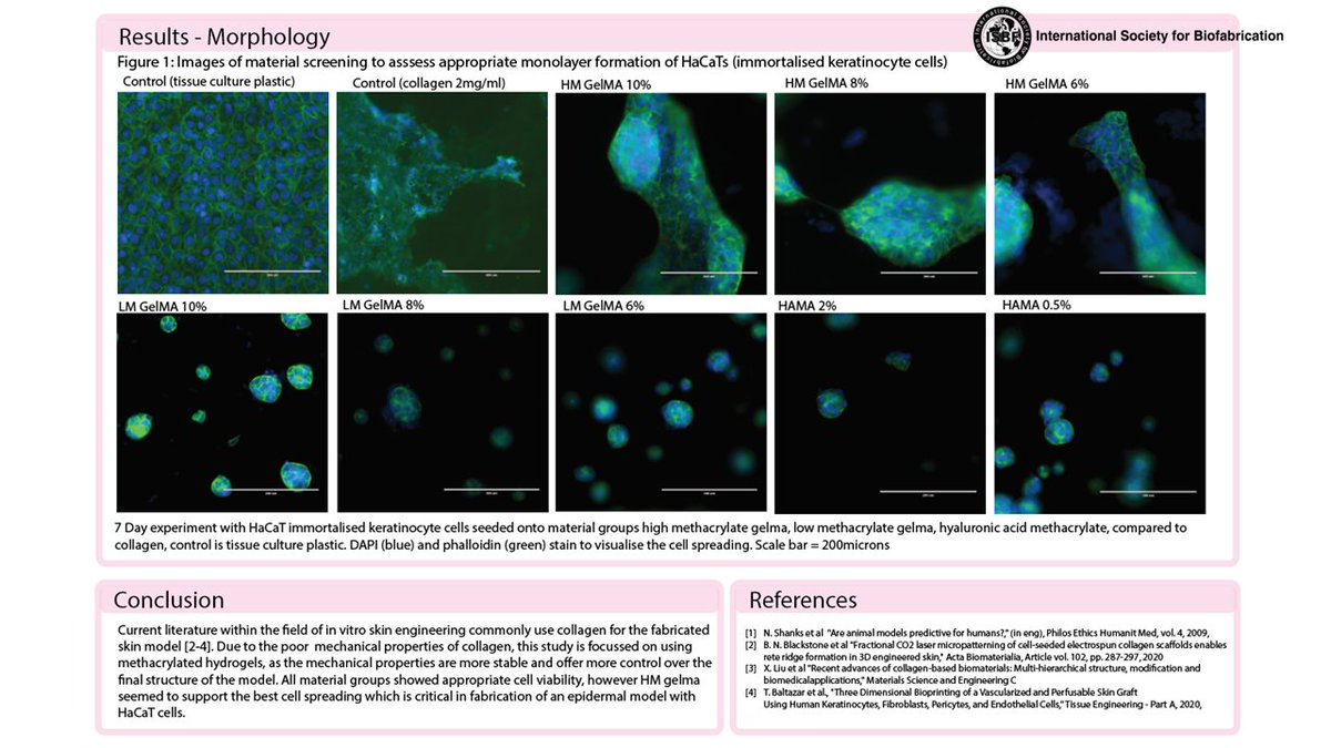 Lizzy Footner (@lizzyfootner) on Twitter photo In vitro skin models offer a platform for cosmetic testing, that doesn't involve animal testing 🐖🚫 Photocrosslinkable hydrogels are used here to form artificial epidermal skin (work in progress) <a href="/ISBioFab/">Intl Soc Biofab</a> #Biofab2022
Big thank you to my team! In vitro skin models offer a platform for cosmetic testing, that doesn't involve animal testing 🐖🚫 Photocrosslinkable hydrogels are used here to form artificial epidermal skin (work in progress) <a href="/ISBioFab/">Intl Soc Biofab</a> #Biofab2022
Big thank you to my team!