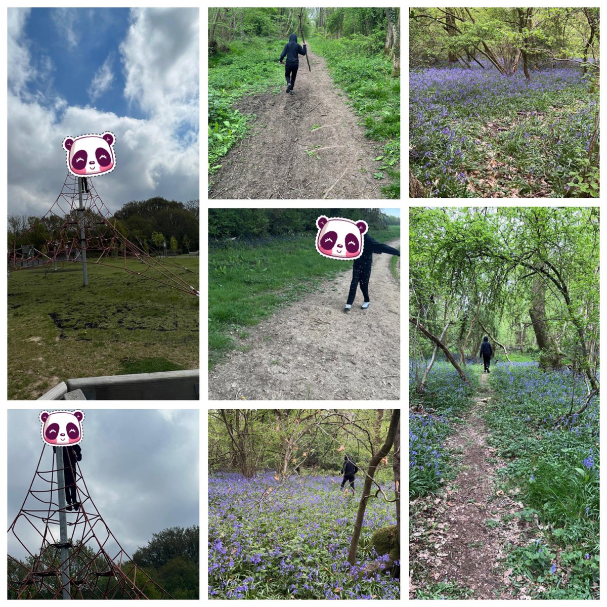 Embracecic's tweet photo. We have started the week with some adventures. Exploring challenge, learning what it feels like to being in charge, assessing risk, physically, socially and emotionally ππ»π #outsidelearning #mentalhealth #feelingfree #makingmyowndecisions #sociallearning #embracecic π https://t.co/EuaCJ0RBJF