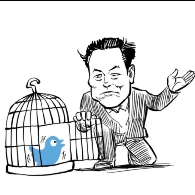 worldofgiraffe's tweet photo. #ElonMusk #ElonMuskBuyTwitter #ElonMuskTwitter #Elon #NFTCommunity #WOG @elonmusk https://t.co/mWYTJK26dE