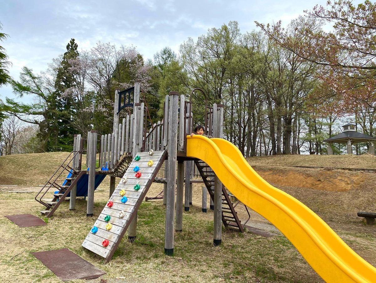 kassouzaru's tweet photo. 今日は孫と娘と3人で飯山へ〜！！
2ヶ所の公園で遊んでからぶなの駅で春紀の塩ラーメンを美味しく頂きました🍜
#飯山 #飯山市 #菜の花 #桜 #sl #公園 #ぶなの駅 #上越 #春紀 #塩ラーメン #孫 #2歳 #娘 
#iiyama #nanohana #sakura #park #bunanosato #jyoetsu #haruki #sio #ramen https://t.co/Sc0k8Xu6XV