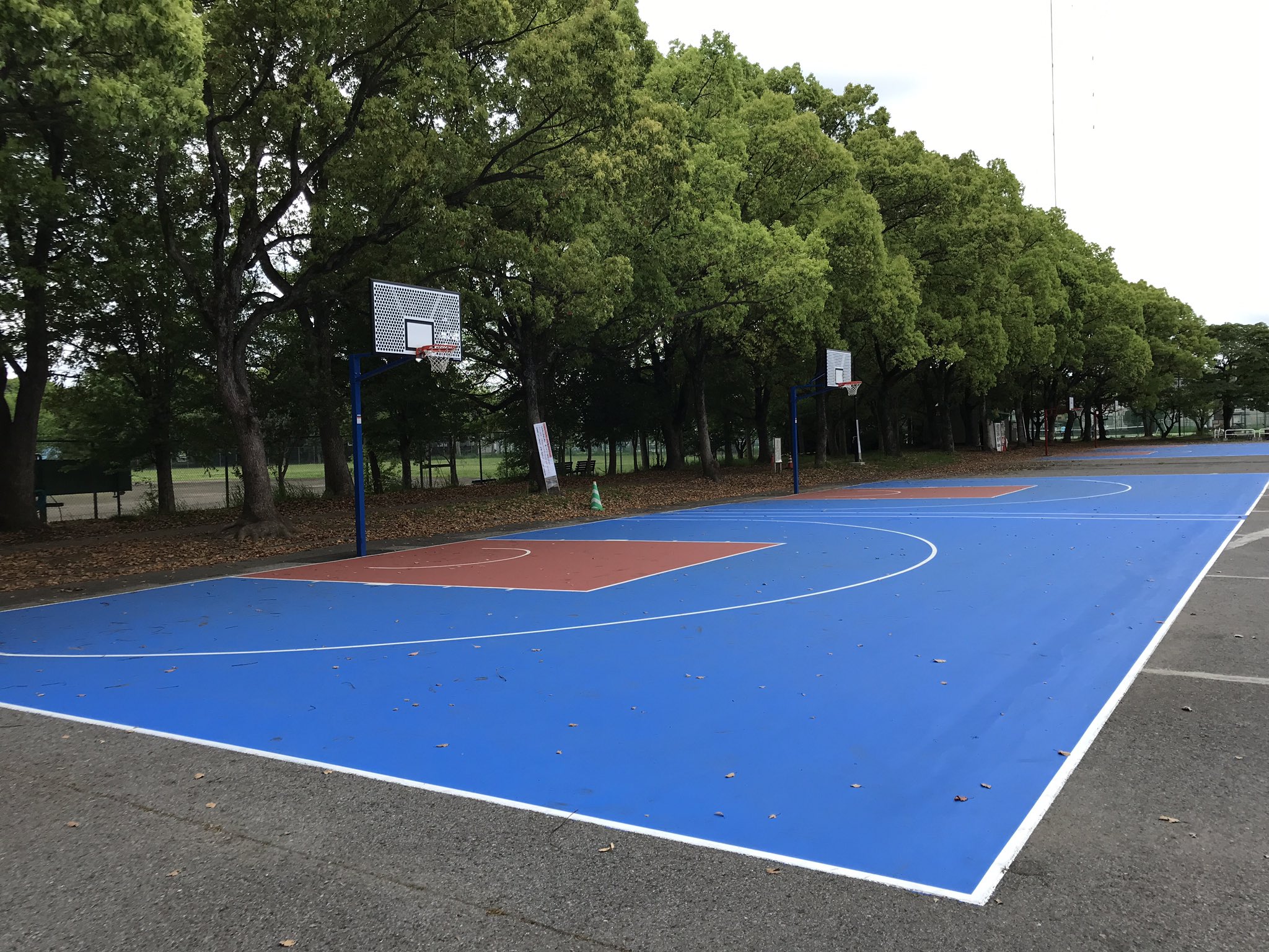 さいたまバスケットボールコミュニティ Saitamahoop Twitter