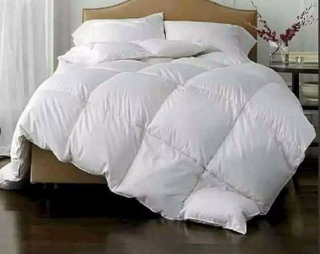 TheAfricanPen's tweet photo. OFFER!!!
White Plain Duvets
1 Duvet 1 Bedsheet 2 Pillow Cases
4*6 2400kshs
5*6 2600kshs
6*6 2800kshs
7*8 3500kshs

DM or WhatsApp 0719395012 to order

Elon Musk Ndindi Nyoro Size 8 Raila KCSE Ruiru Trump #TwitterTakeover  Eldoret Tesla Jayden Dear God https://t.co/FKBFWE6Axy