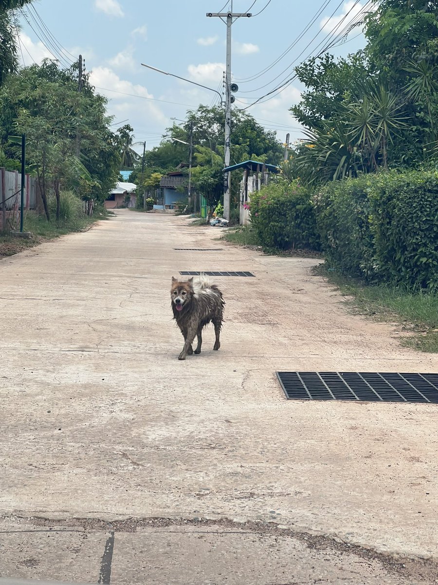 ไอ้เหี้ยยย นั่นหมากุใช่มั้ย