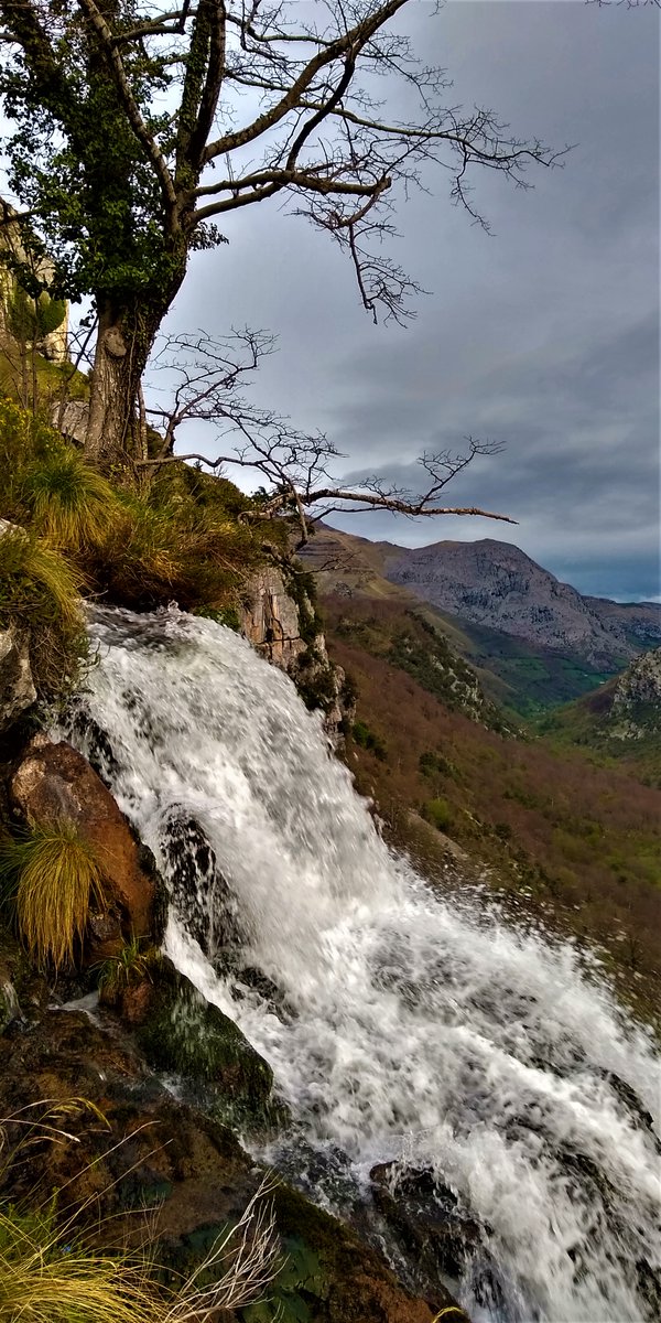 Detener el tiempo y contemplar💚💙
Muy buenos días🍃☀️🌿