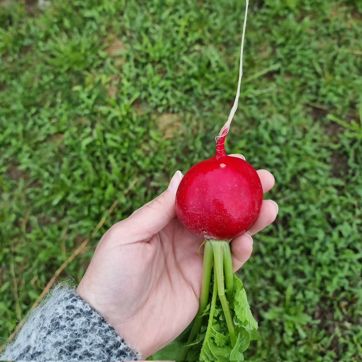 Absolūts ēd tweet media