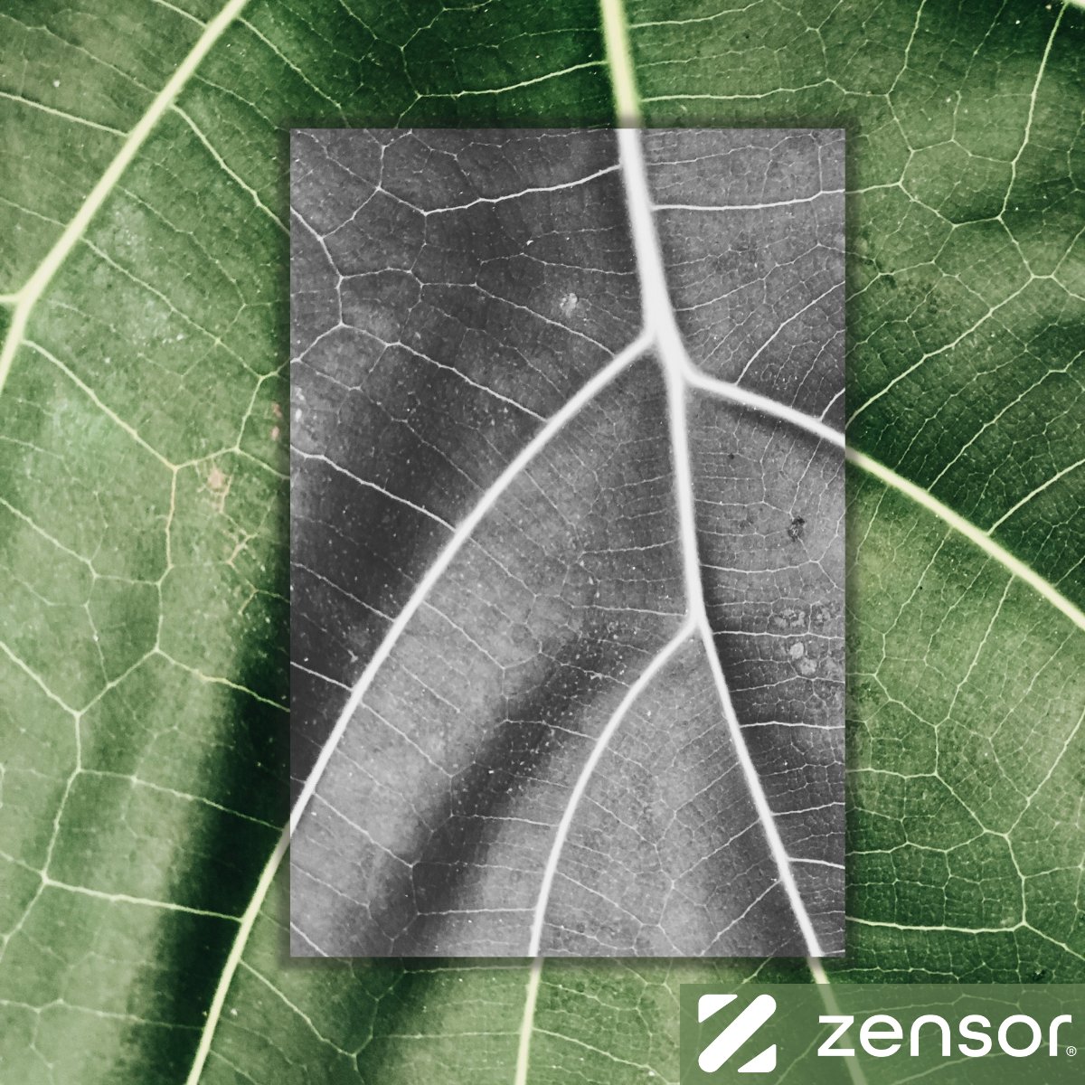 Encouraged by international earth day we wanted to make our readers aware of the importance of sustainable lifecycle management of production assets and how the so-called industry 4.0 can impact this!

Check out our LinkedIn post: …