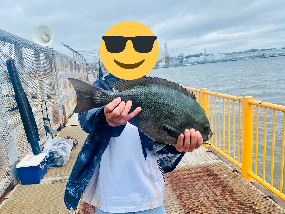 ponta6164's tweet photo. 今日はNorizoさんと釣りしてました！狙いはおチヌ様でしたが、結果としては、こんな結果になりましたww46㌢メジナ釣れて磯子の月間大物賞貰いました！（≧∇≦）♪終始フグ地獄に2人でハマり込んでましたが、暴風雨のコンディションで2人とも魚は釣れたので、
まぁ〜良かったです！＃磯子海づり施設 https://t.co/UKOEmlmyNX