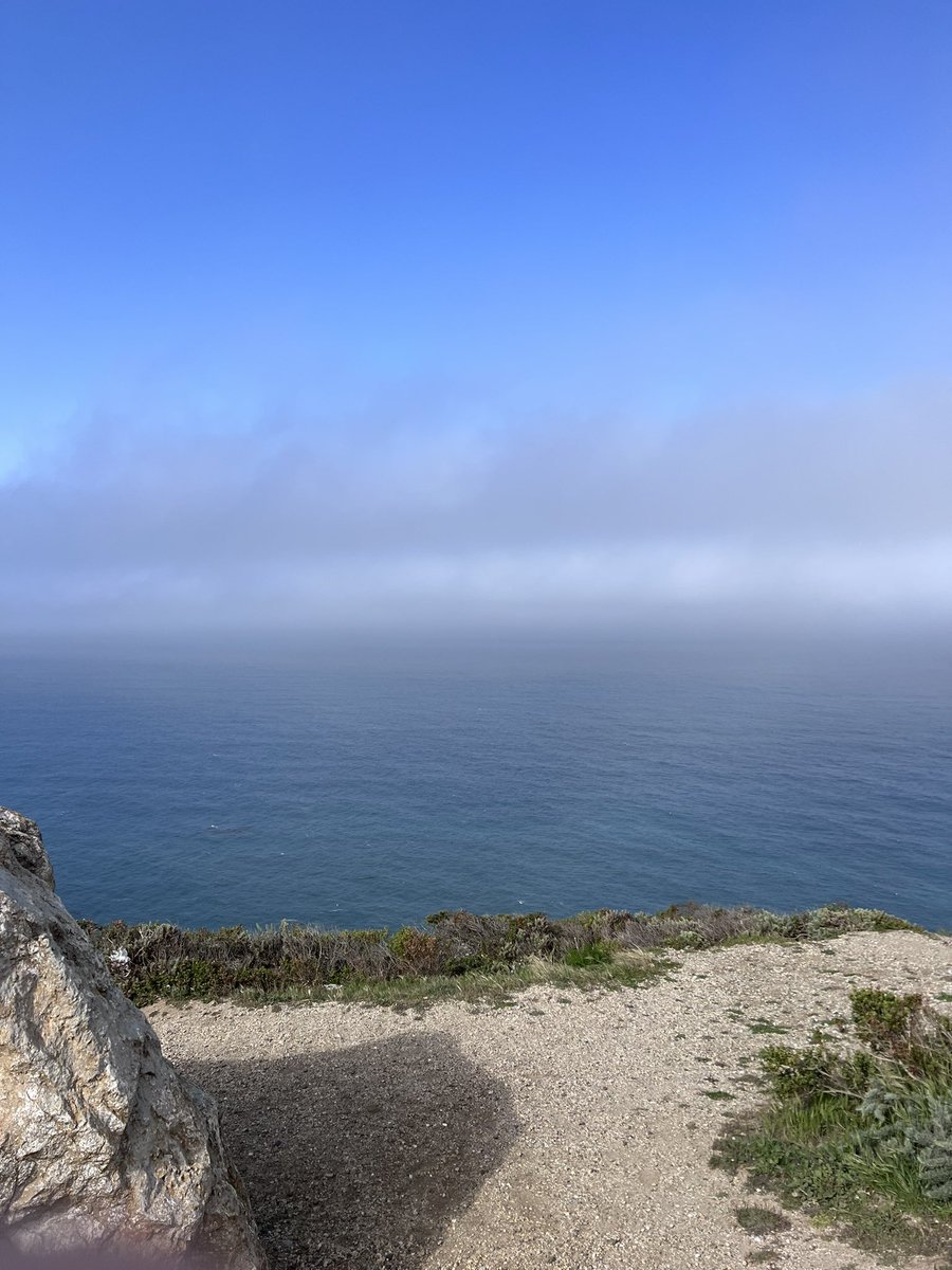 EnergyBolt2's tweet photo. It’s officially been 2 days since I woke up for the @BSIMEvents Marathon and my legs still haven’t forgiven me. Luckily it was gorgeous and 10,000% worth it #bsimbr #bibchat #bibravepro #marathonrelay #bigsur #westcoastchillin #racecation https://t.co/ge9Lg4eHdt