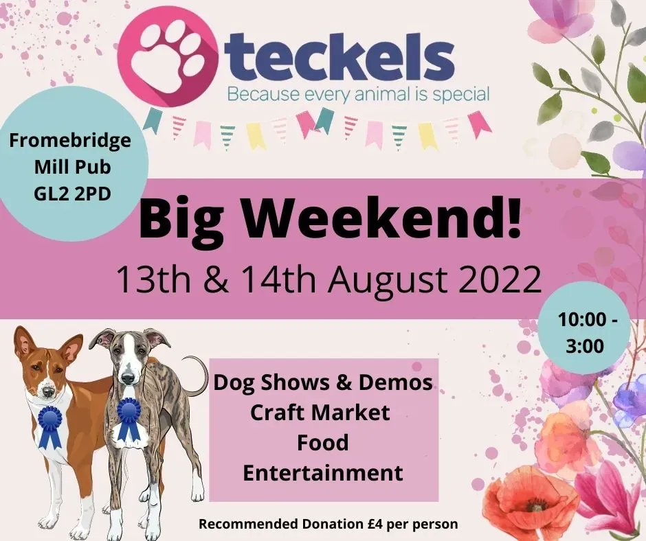 Teckels Animal Sanctuaries tweet media