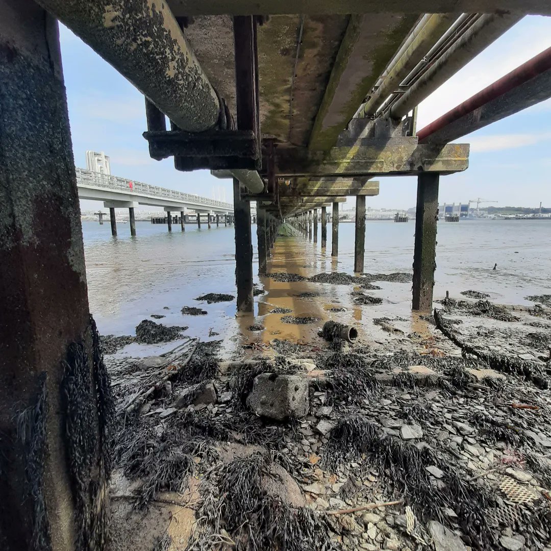 MusselMagic's tweet image. More shots from our #filming trip to the #TamarEstuary 🎥 when we came across this sewage treatment plant we knew we had picked the right spot for our pilot project, just be glad Twitter hasn't developed smellovision yet... 🤢💩🤢
#EndSewagePollution