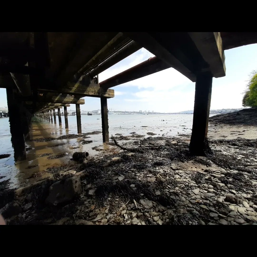 MusselMagic's tweet image. More shots from our #filming trip to the #TamarEstuary 🎥 when we came across this sewage treatment plant we knew we had picked the right spot for our pilot project, just be glad Twitter hasn't developed smellovision yet... 🤢💩🤢
#EndSewagePollution