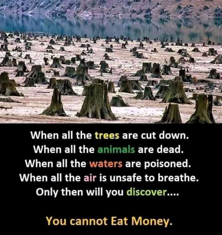 sgilive's tweet photo. Arise , Awake - The World #ClimateAction #Environment #SaveTree https://t.co/aNefOGbJXZ